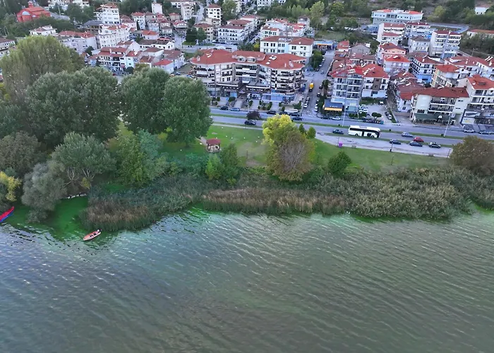 Swan Lake Front Apartment